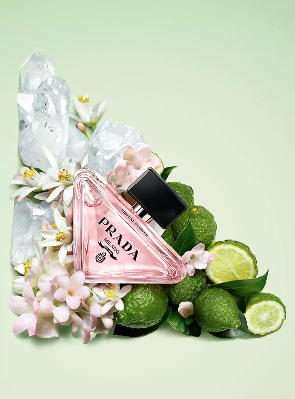 Paradoxe — Prada