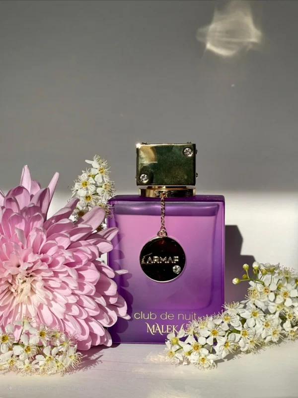 Club De  Nuit Maleka